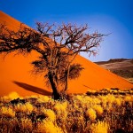 19 Tage quer durch Namibia – die Naturwunder Afrikas