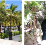 Sandos Eco Resort: Playa Del Carmen Mexiko – meine Hotelbewertung!