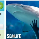 Eintrittskarte für das Sea Life in verschiedenen Städten ab 7€